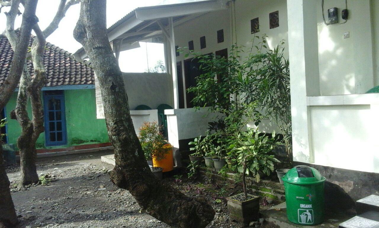 Pedek Homestay プラヤ エクステリア 写真